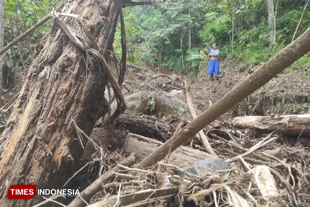 Gunung Pawinihan Banjarnegara Longsor, Warga Khawatirkan Pola Pengelolaan Lahan